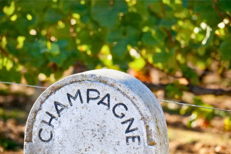 Velkommen til Champagne, Frankrig