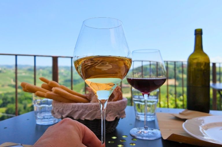 Udsigt til vin og vinmarker i Italien