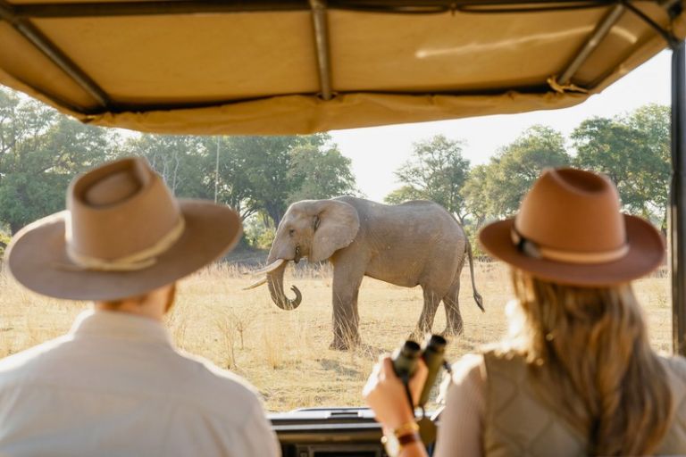 Safari på Time + Tide Luwi i Zambia, Afrika